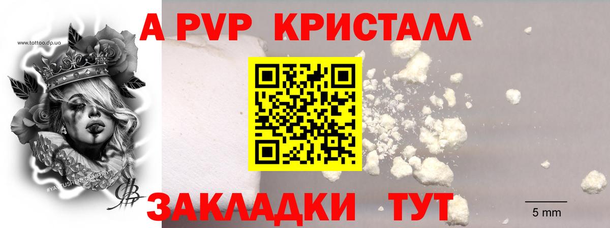 Альфа ПВП крисы CK Донецк